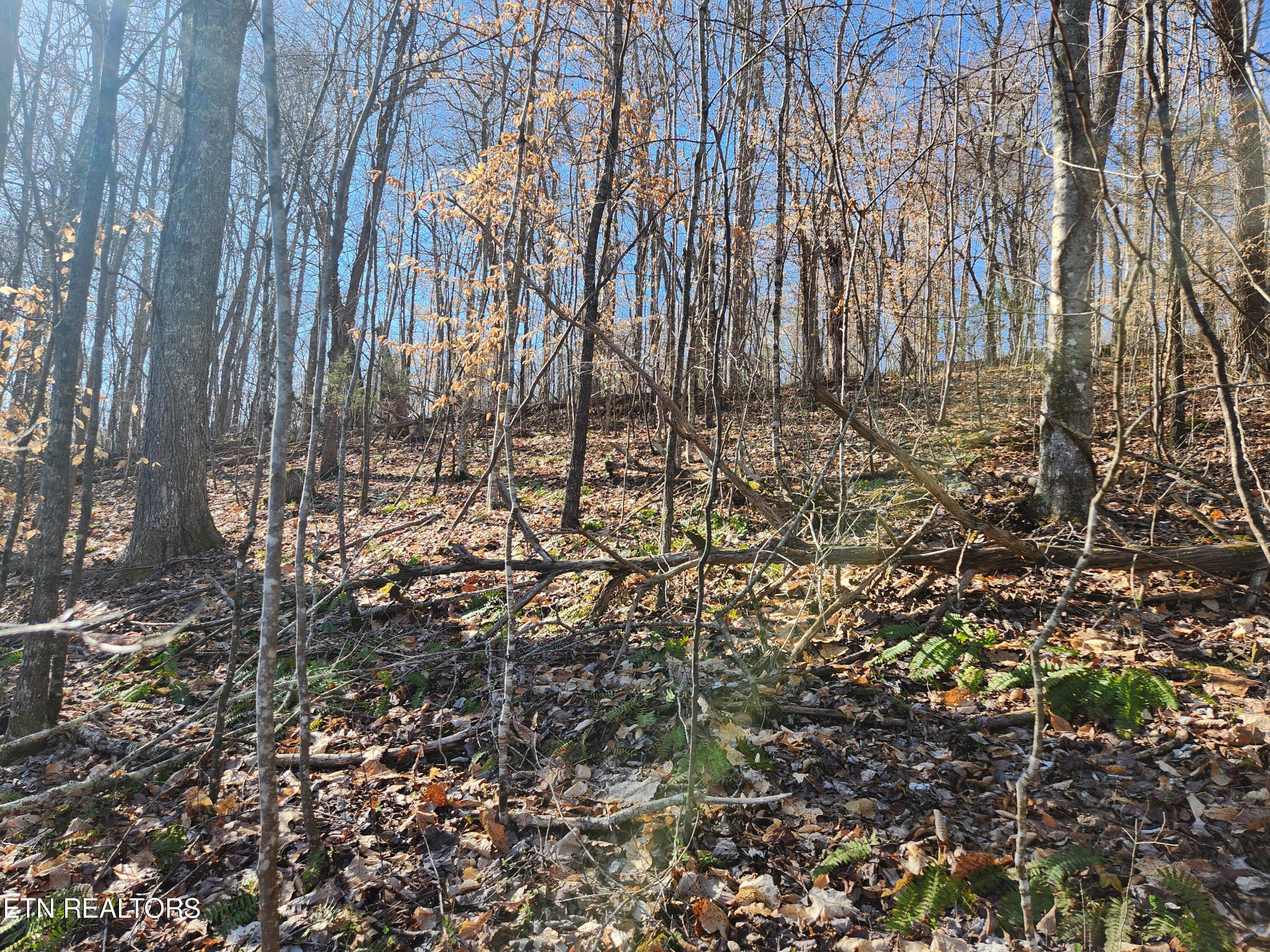 Lot 106 Laurel Way, Lafollette, TN