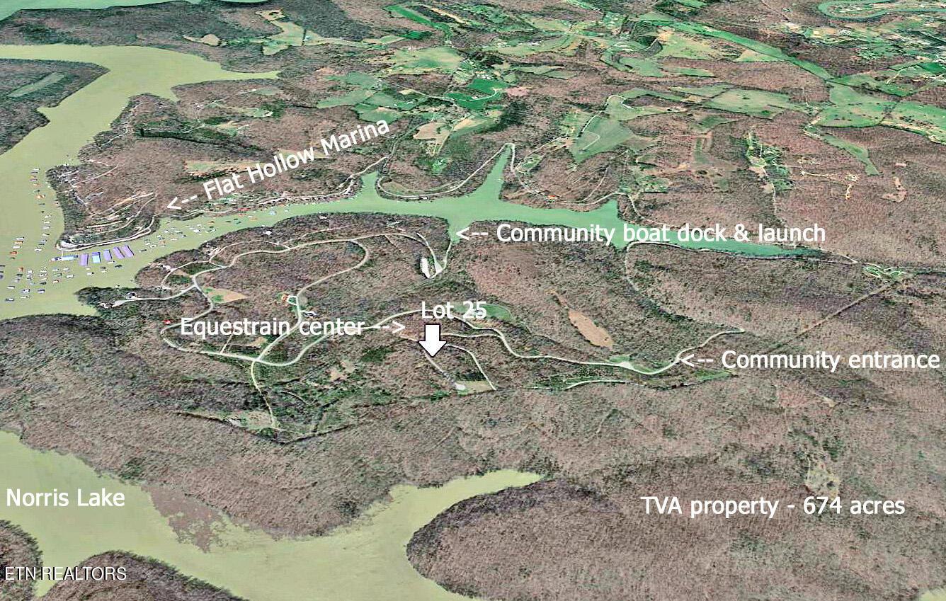 Norris Lake Real Estate - Image# 3