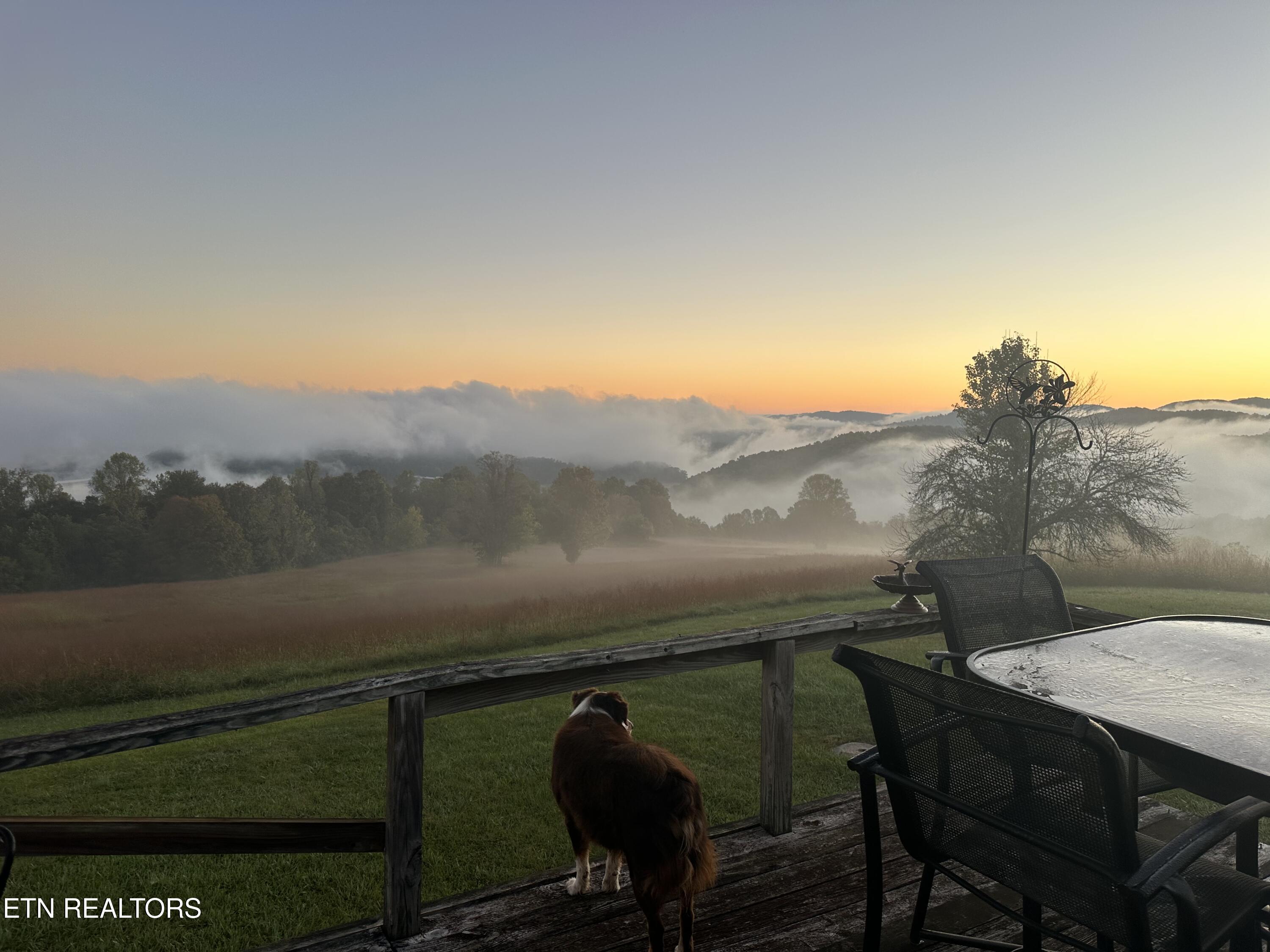 6485 Maynardville Hwy, Maynardville, TN - Norris Lake Real Estate - Image# 8