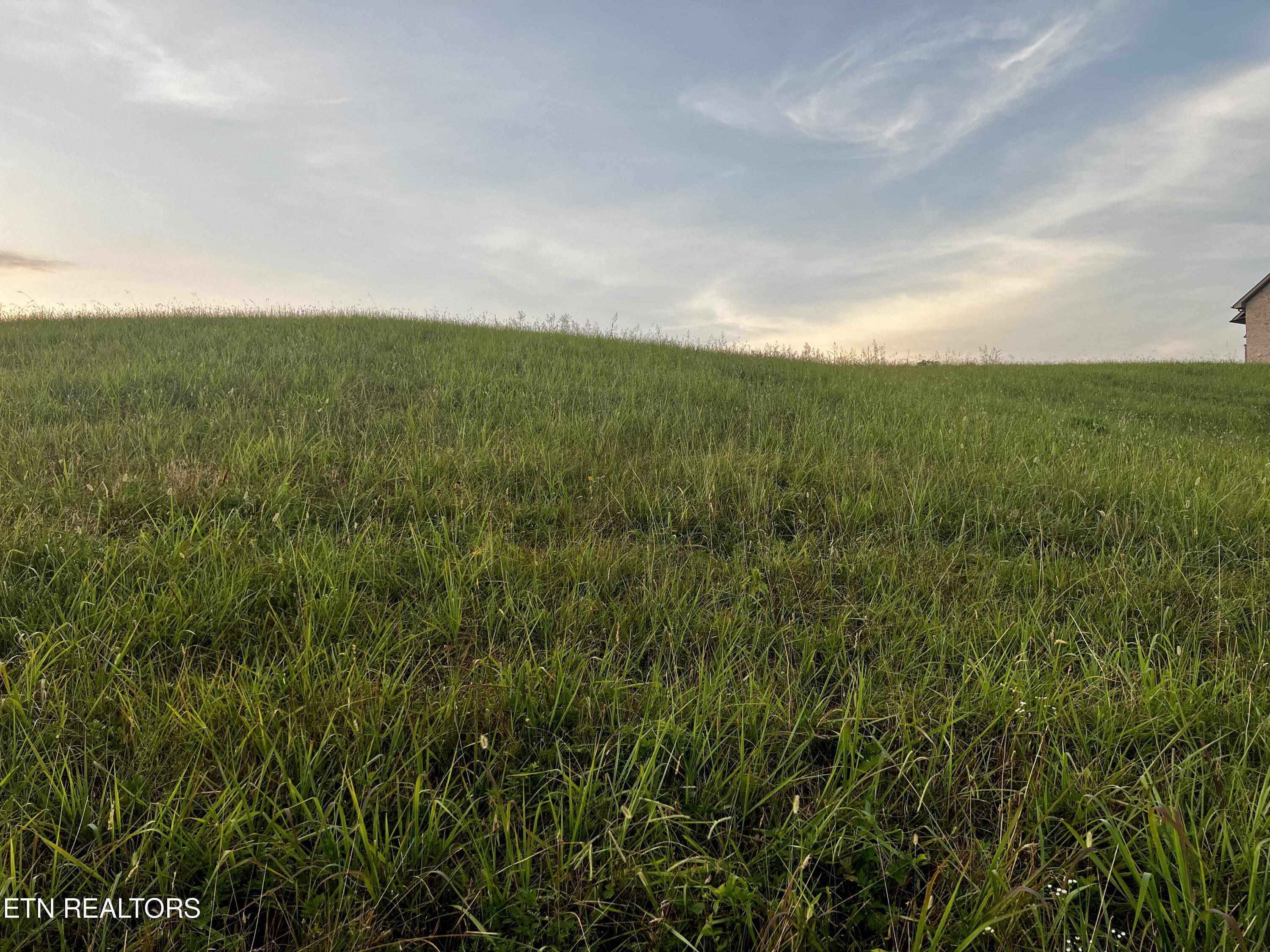 Norris Lake Real Estate - Image# 5