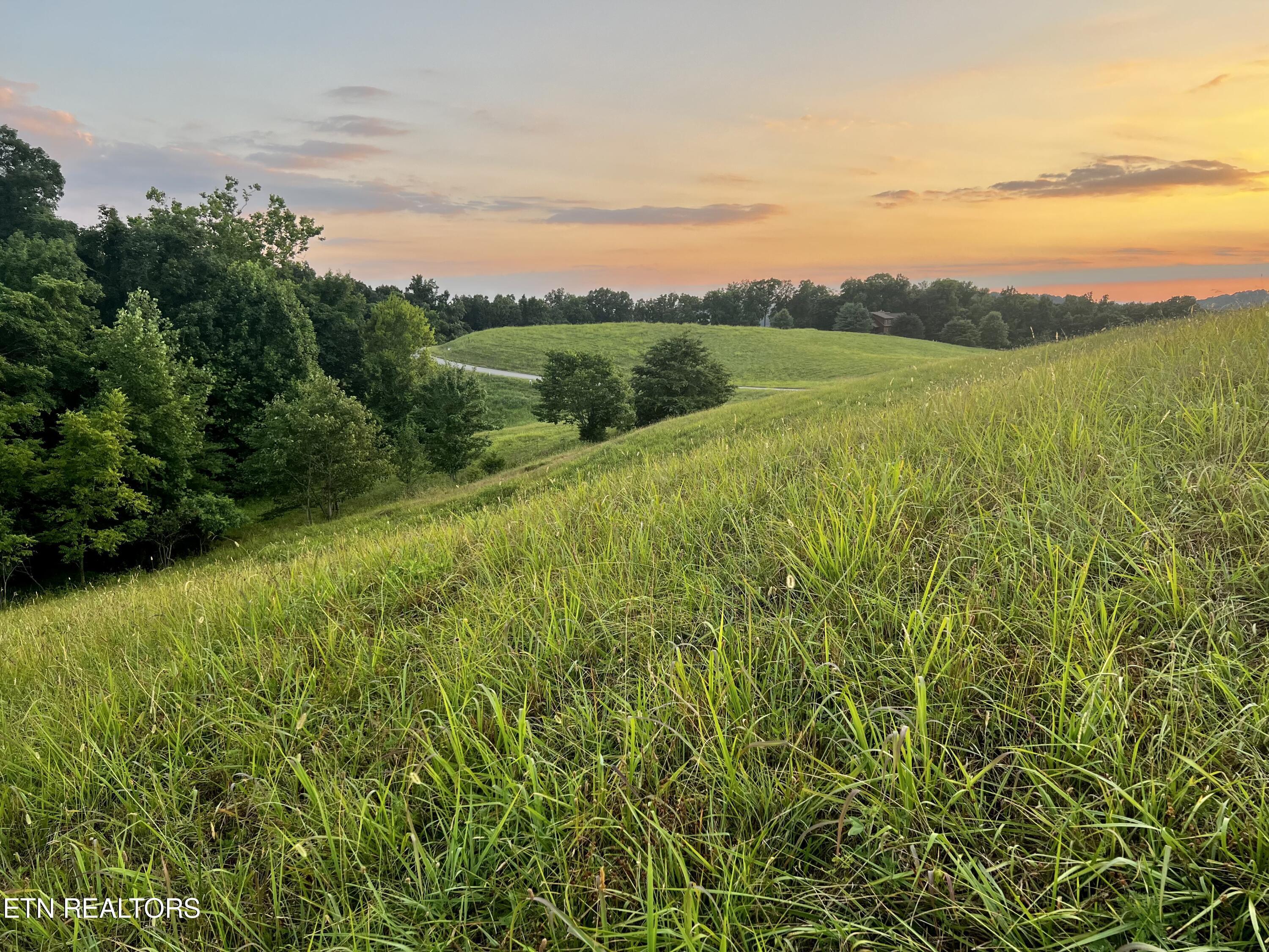 Lot 146 Tanzanite Tr, New Tazewell, TN