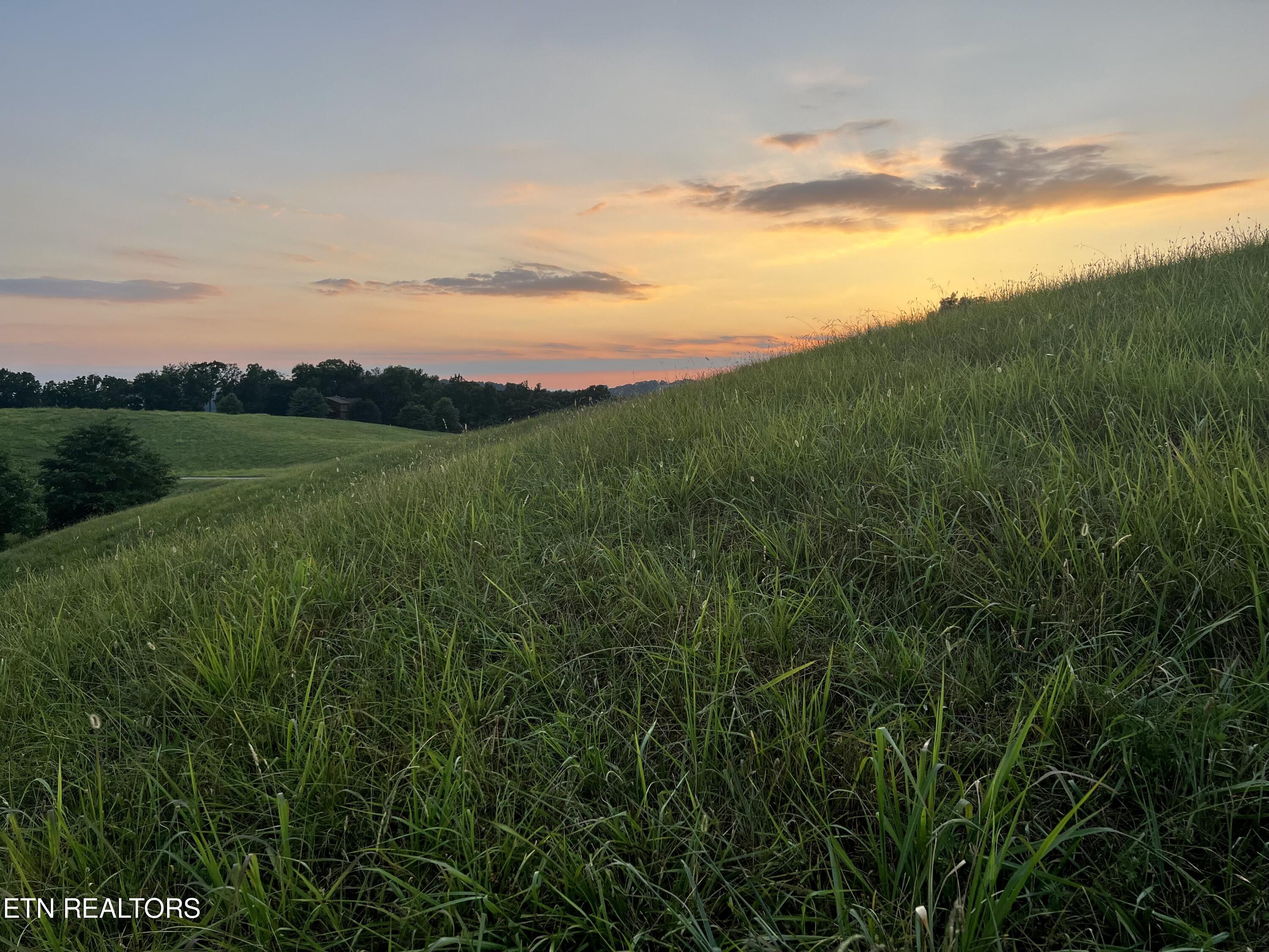 Norris Lake Real Estate - Image# 8