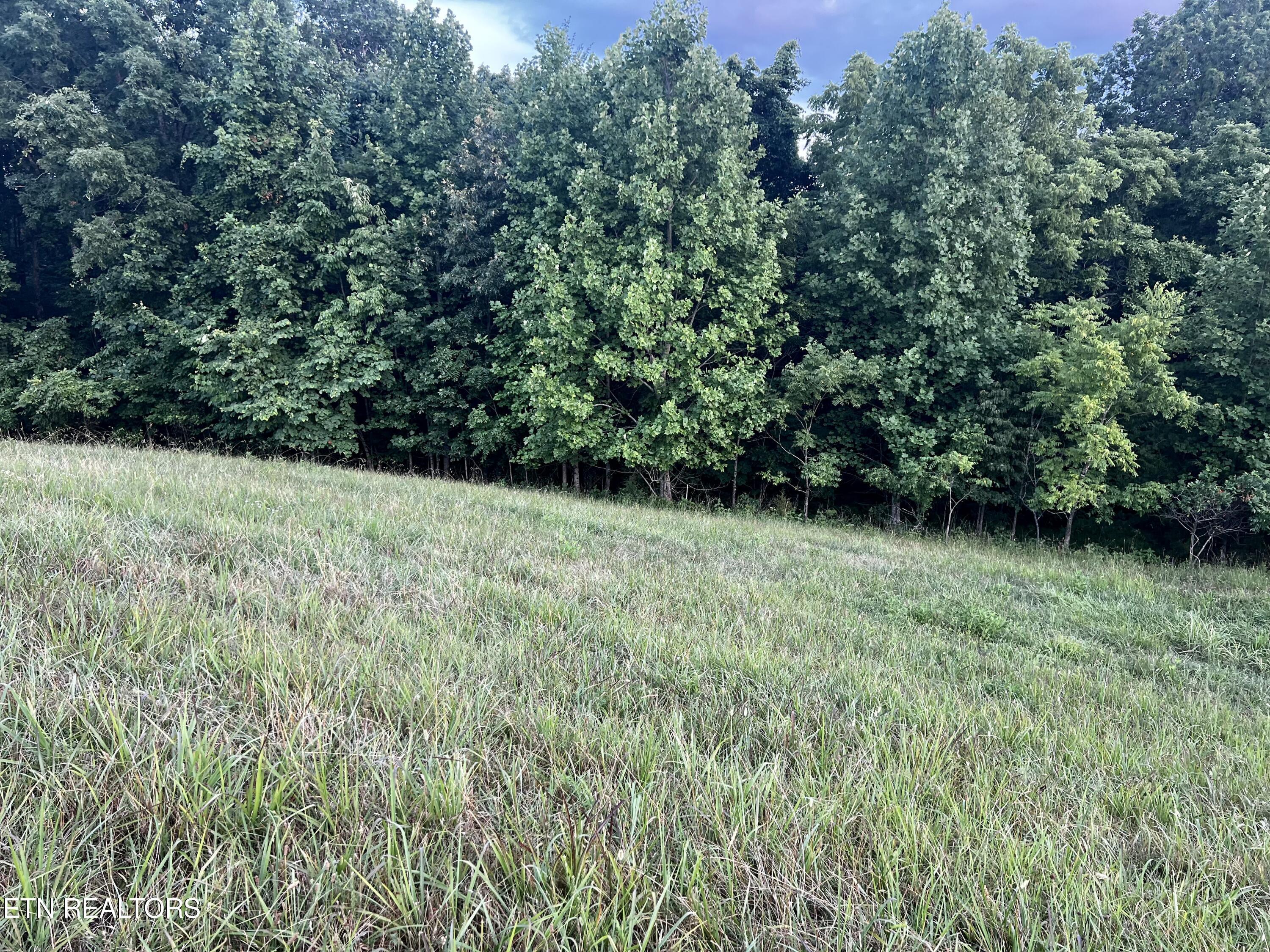 Norris Lake Real Estate - Image# 9