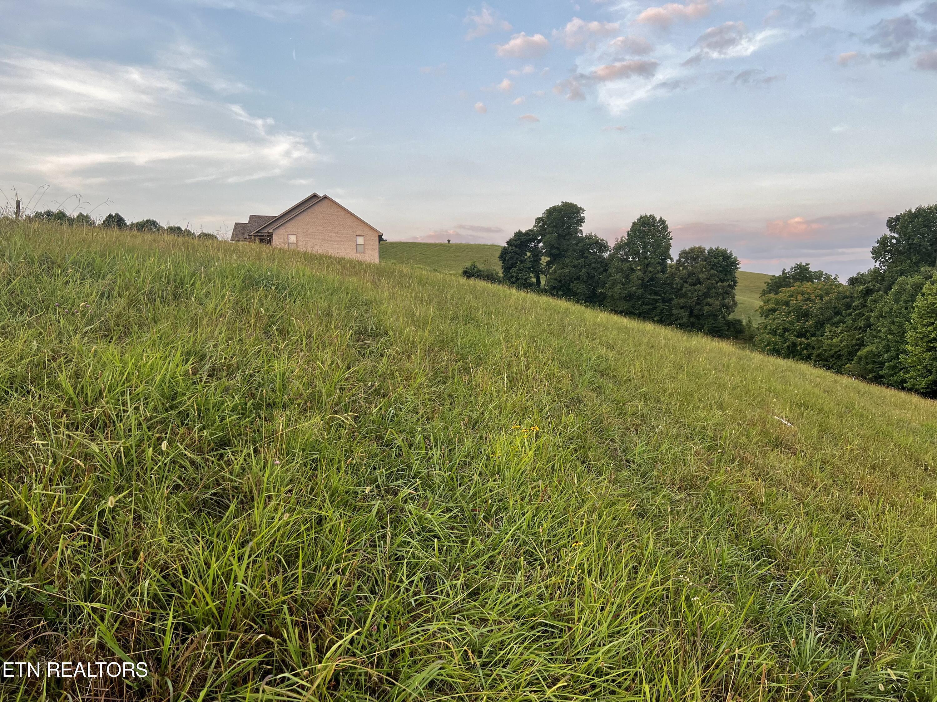 Norris Lake Real Estate - Image# 11