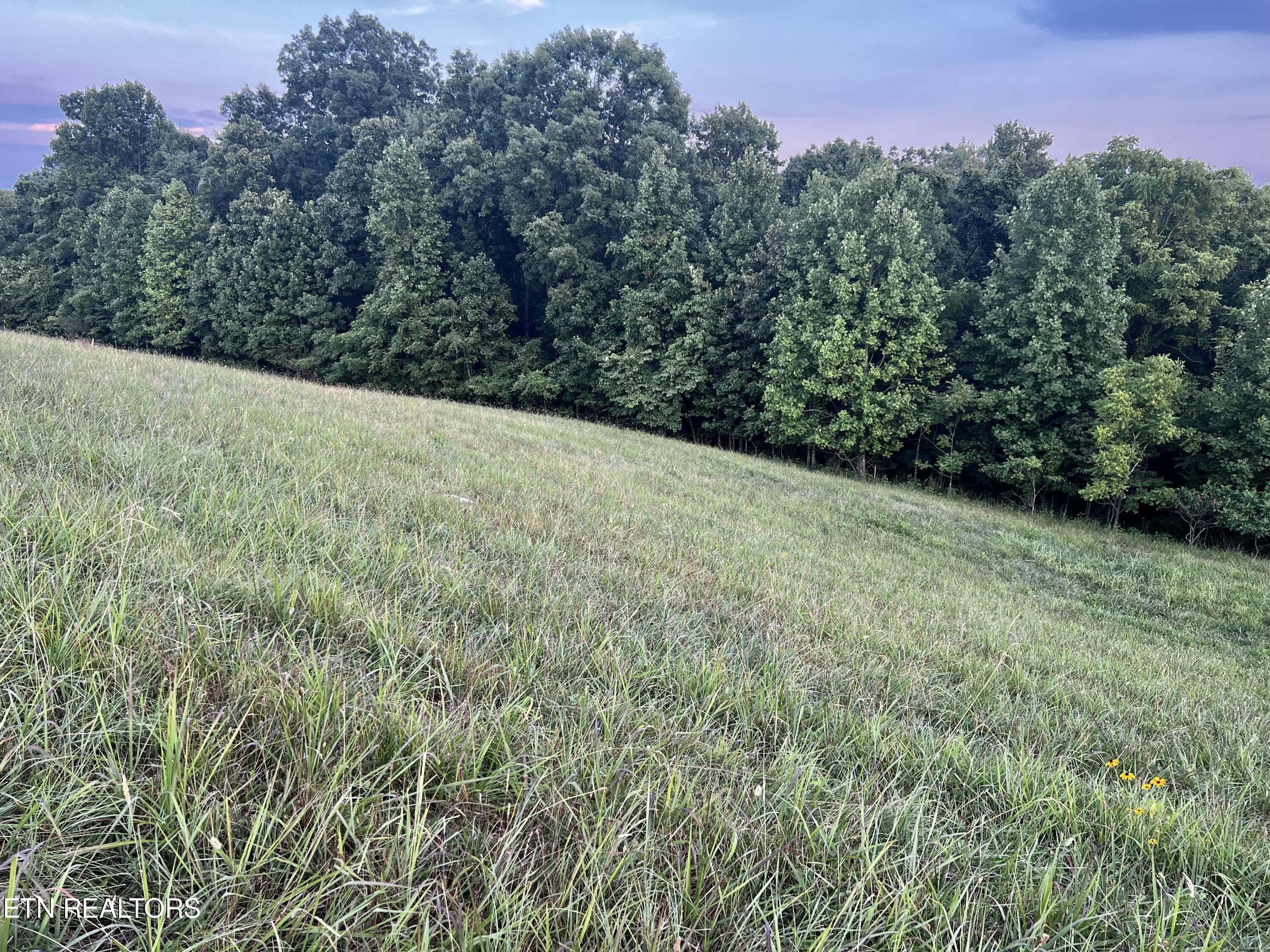 Norris Lake Real Estate - Image# 12