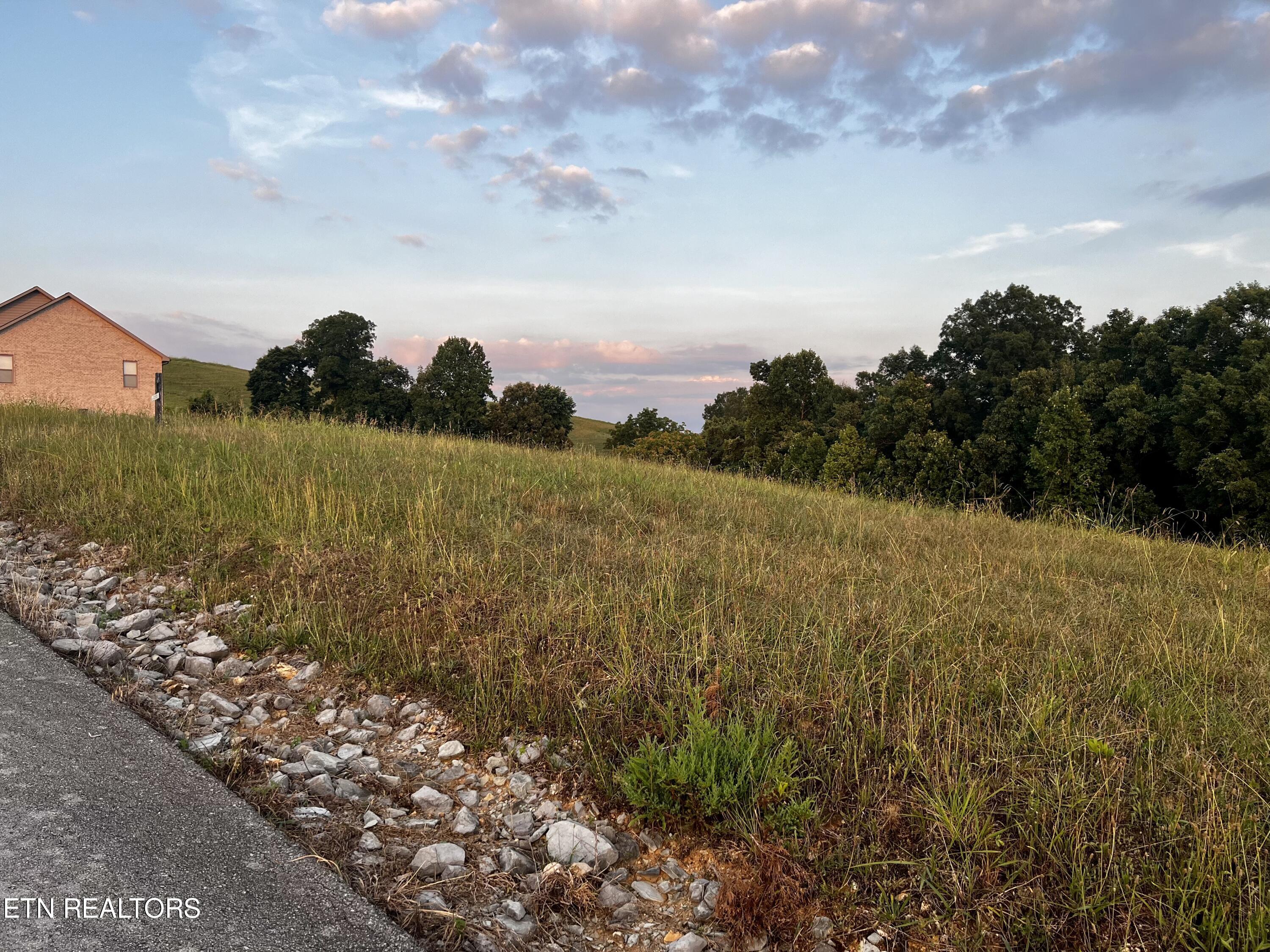 Norris Lake Real Estate - Image# 15