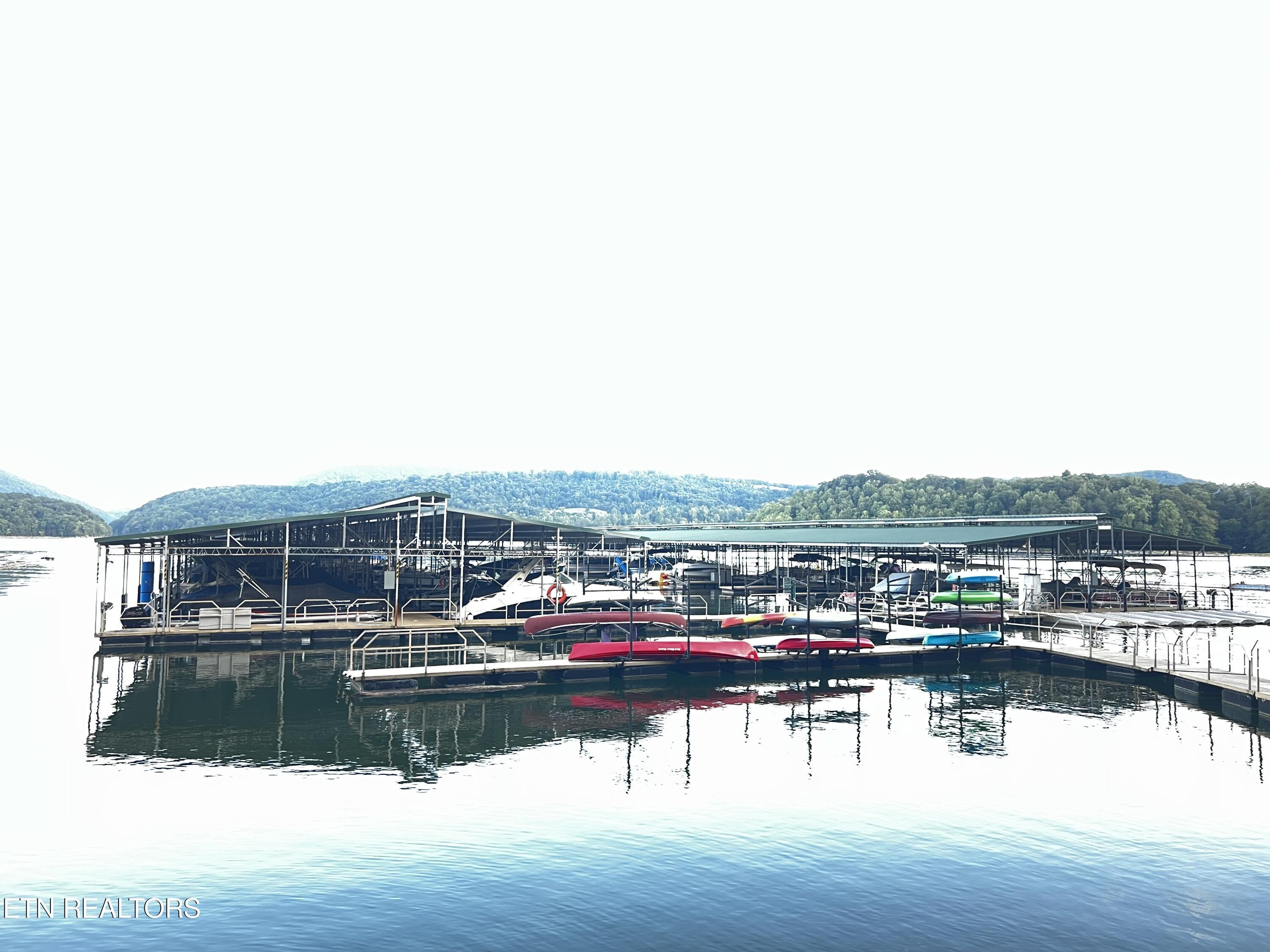 Norris Lake Real Estate - Image# 19