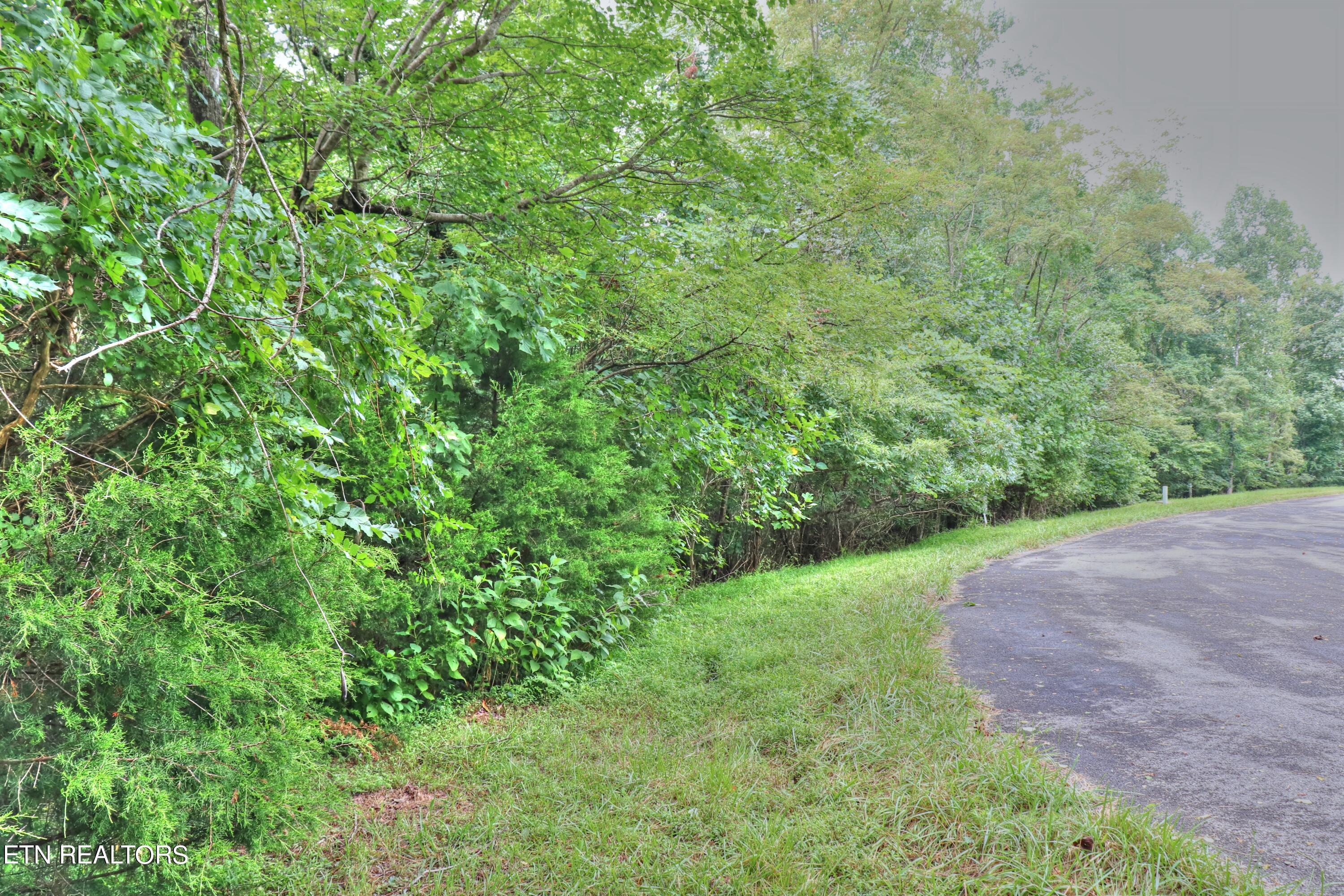 Lot 432 Beryl Court, New Tazewell, TN