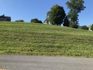 Lot 326 Russell Brothers Rd, Sharps Chapel, TN - Norris Lake Real Estate - Image# 6