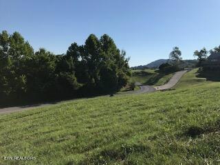Lot 326 Russell Brothers Rd, Sharps Chapel, TN - Norris Lake Real Estate - Image# 9