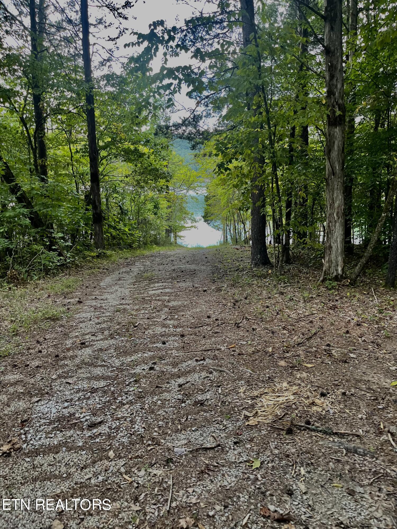 295 Bob Wright Rd, Maynardville, TN - Norris Lake Real Estate - Image# 36