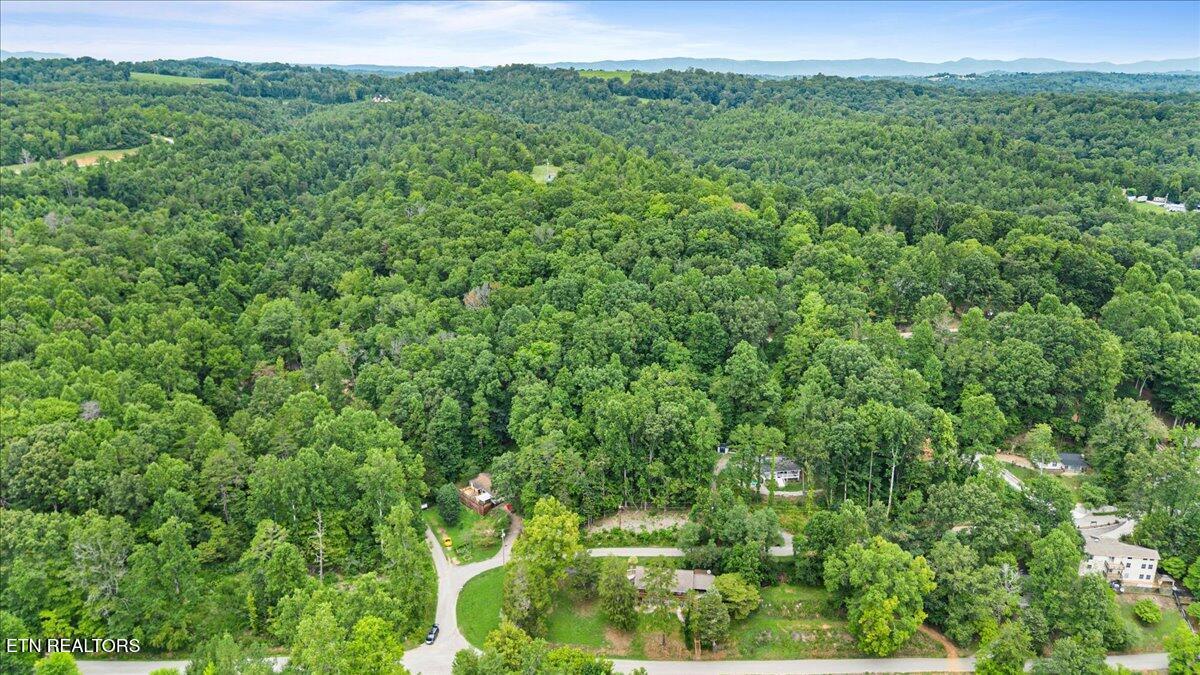 Norris Lake Real Estate - Image# 4