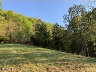 Lot 93 Swan Song Tr, Sharps Chapel, TN - Norris Lake Real Estate - Image# 11