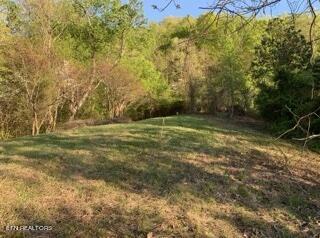 Lot 93 Swan Song Tr, Sharps Chapel, TN - Norris Lake Real Estate - Image# 12
