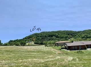 Lot 93 Swan Song Tr, Sharps Chapel, TN - Norris Lake Real Estate - Image# 9