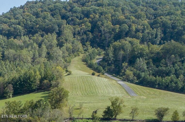 Lot 93 Swan Song Tr, Sharps Chapel, TN - Norris Lake Real Estate - Image# 8