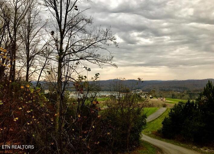 Lot 93 Swan Song Tr, Sharps Chapel, TN - Norris Lake Real Estate - Image# 15