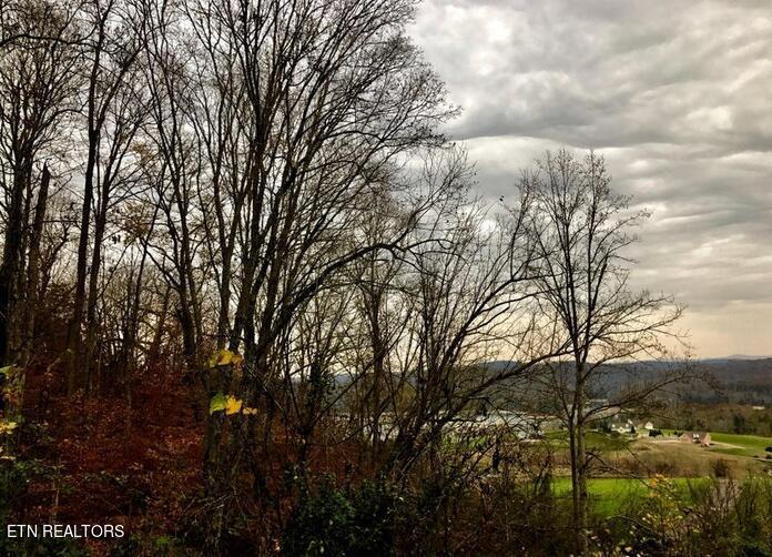 Lot 93 Swan Song Tr, Sharps Chapel, TN - Norris Lake Real Estate - Image# 17