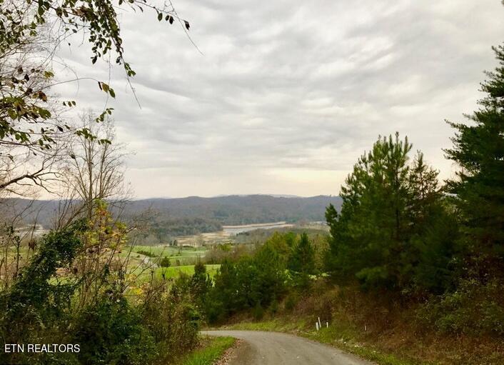 Lot 93 Swan Song Tr, Sharps Chapel, TN - Norris Lake Real Estate - Image# 19