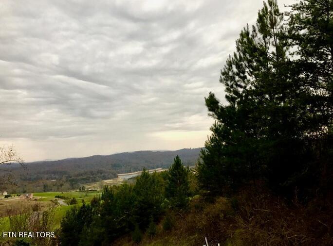 Lot 93 Swan Song Tr, Sharps Chapel, TN - Norris Lake Real Estate - Image# 21