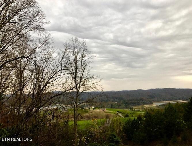 Lot 93 Swan Song Tr, Sharps Chapel, TN - Norris Lake Real Estate - Image# 23