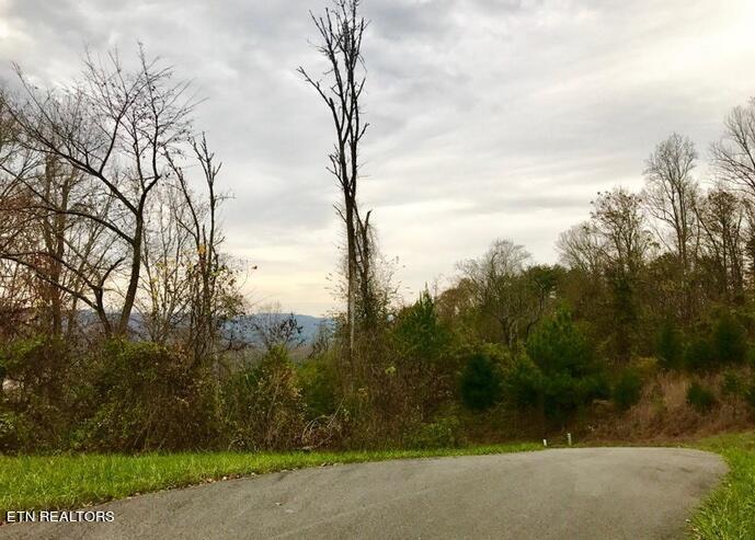 Lot 93 Swan Song Tr, Sharps Chapel, TN - Norris Lake Real Estate - Image# 25
