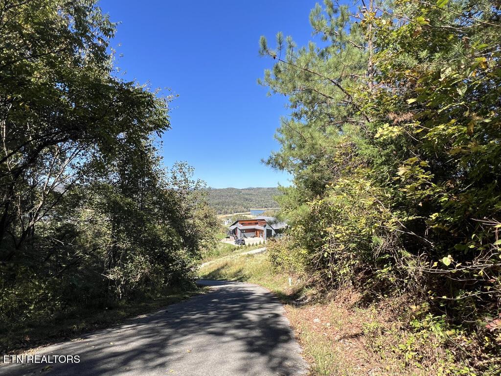 Lot 93 Swan Song Tr, Sharps Chapel, TN - Norris Lake Real Estate - Image# 18