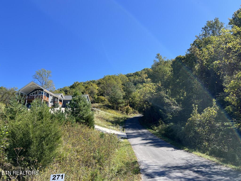 Lot 93 Swan Song Tr, Sharps Chapel, TN - Norris Lake Real Estate - Image# 22