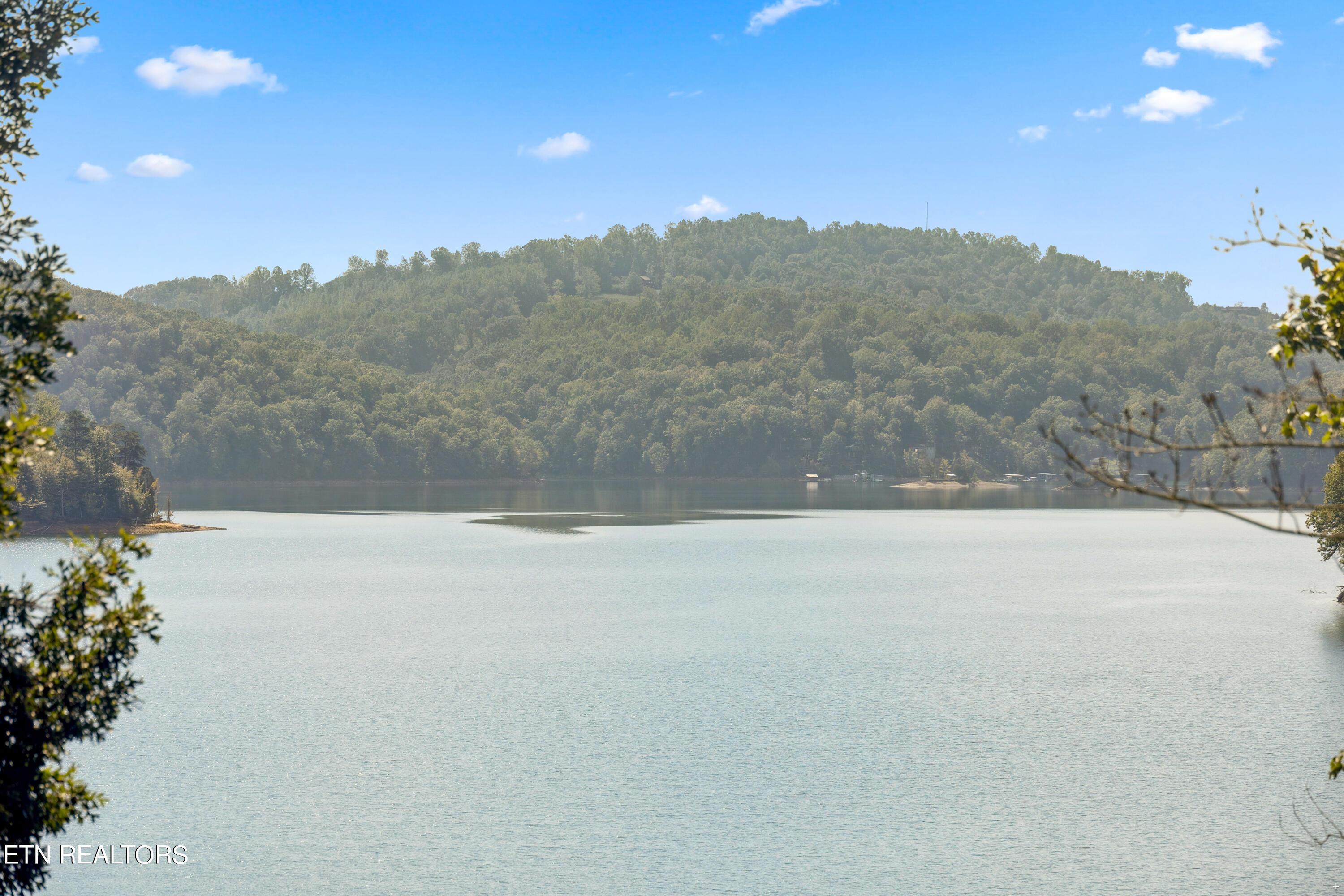 881 Lakeview Drive, Sharps Chapel, TN - Norris Lake Real Estate - Image# 59