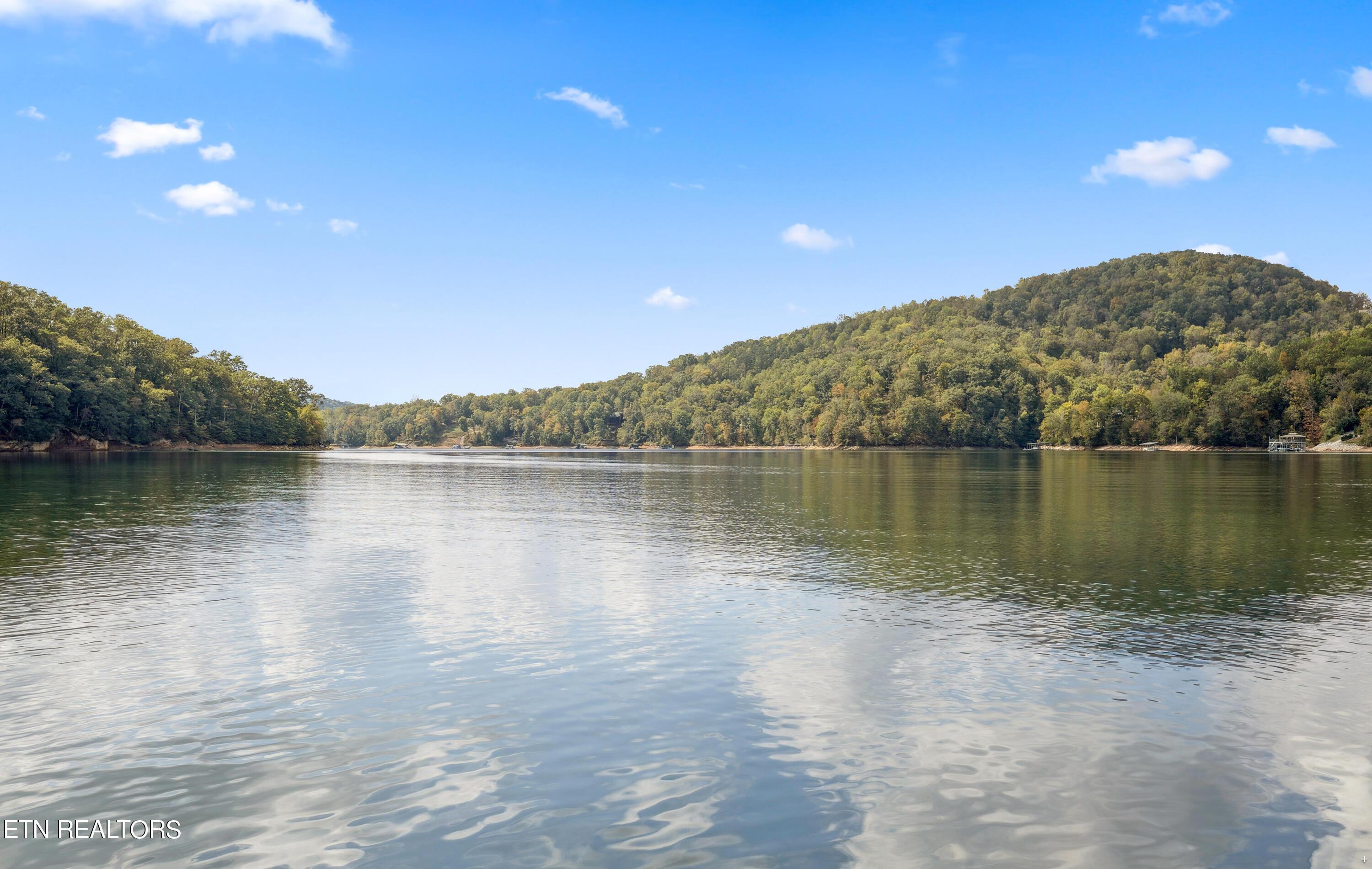 881 Lakeview Drive, Sharps Chapel, TN - Norris Lake Real Estate - Image# 52