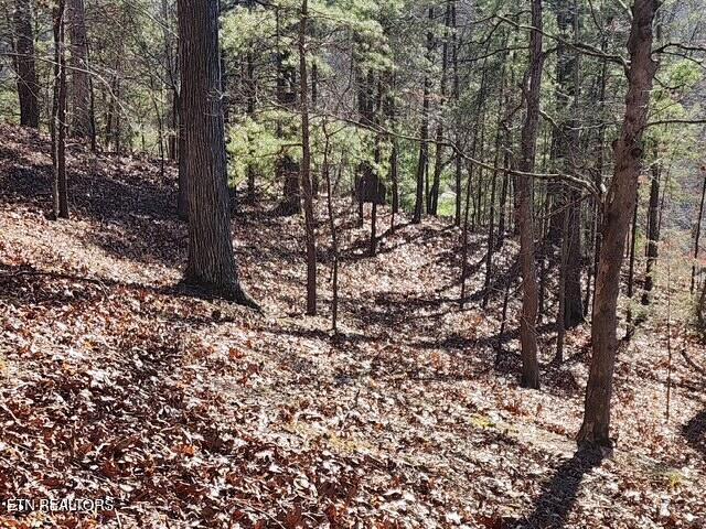 Deer Pond Circle, Lafollette, TN - Norris Lake Real Estate - Image# 14