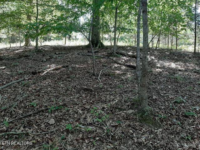Deer Pond Circle, Lafollette, TN