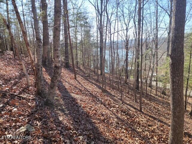 Deer Pond Circle, Lafollette, TN - Norris Lake Real Estate - Image# 4