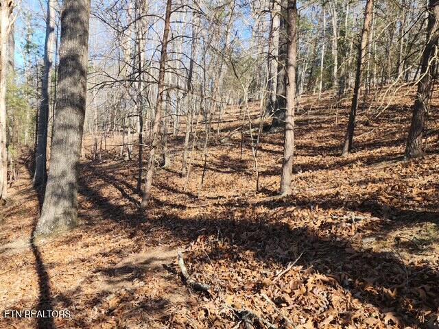 Deer Pond Circle, Lafollette, TN - Norris Lake Real Estate - Image# 15