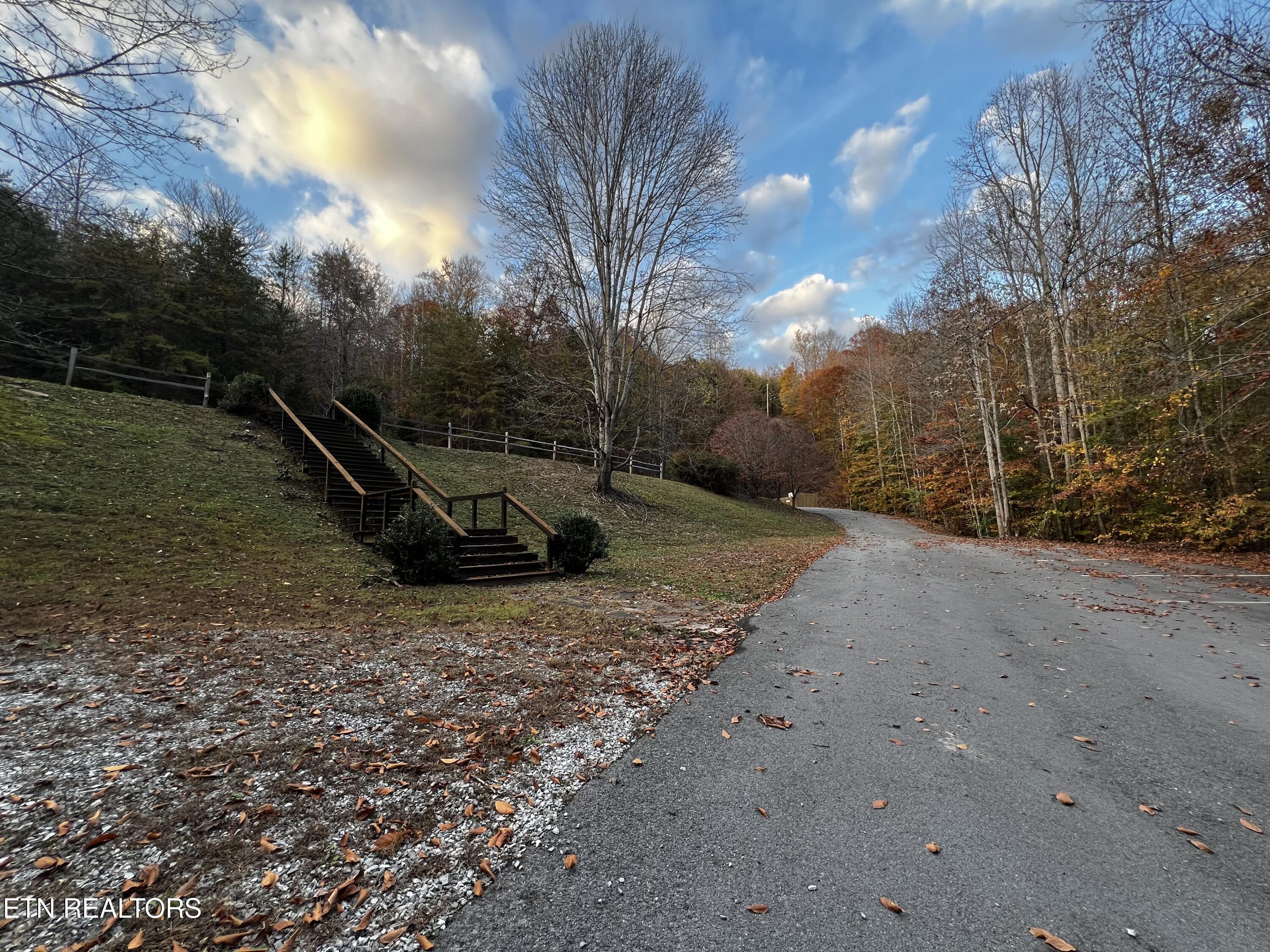 Norris Lake Real Estate - Image# 34