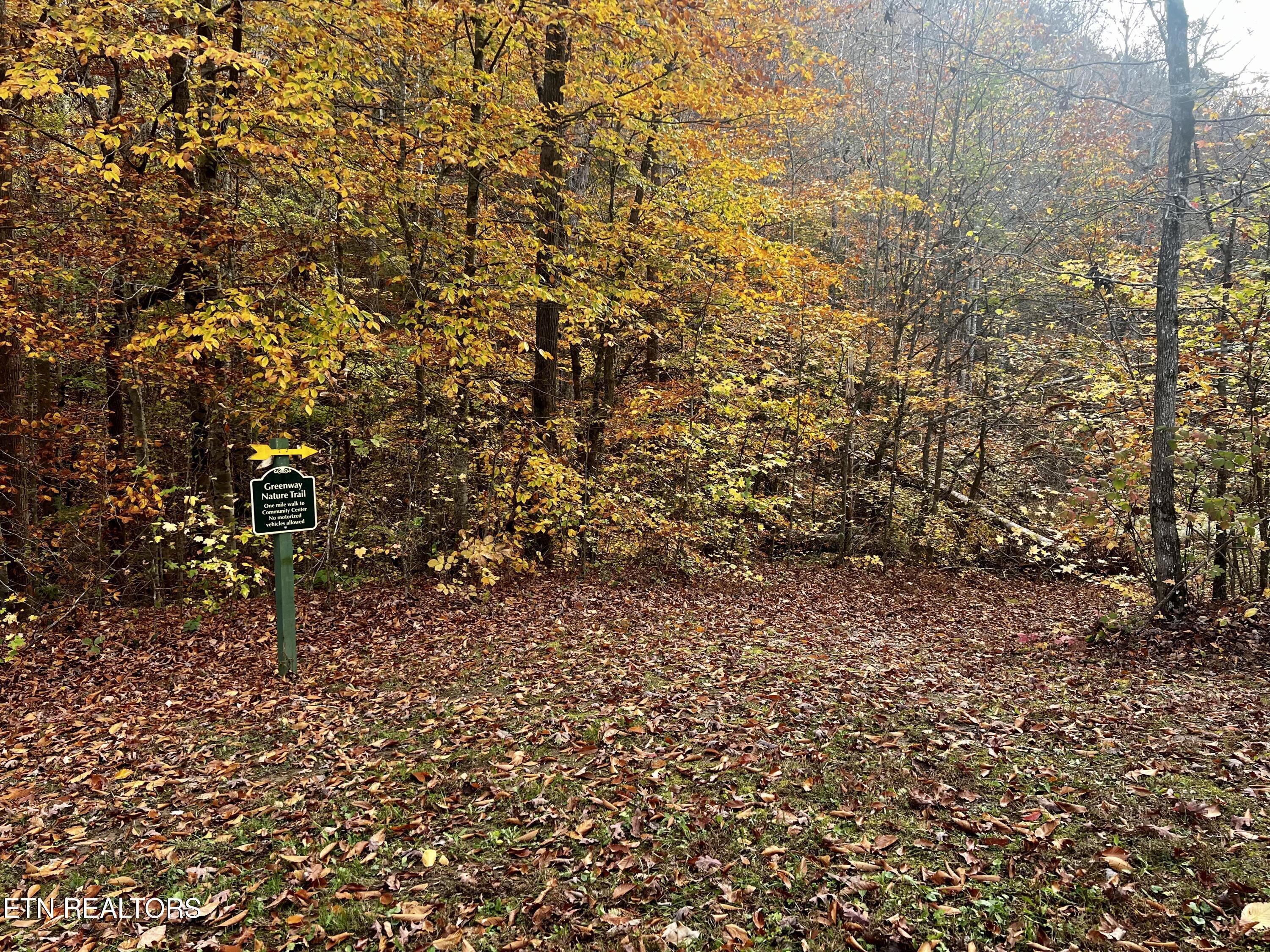 Norris Lake Real Estate - Image# 38