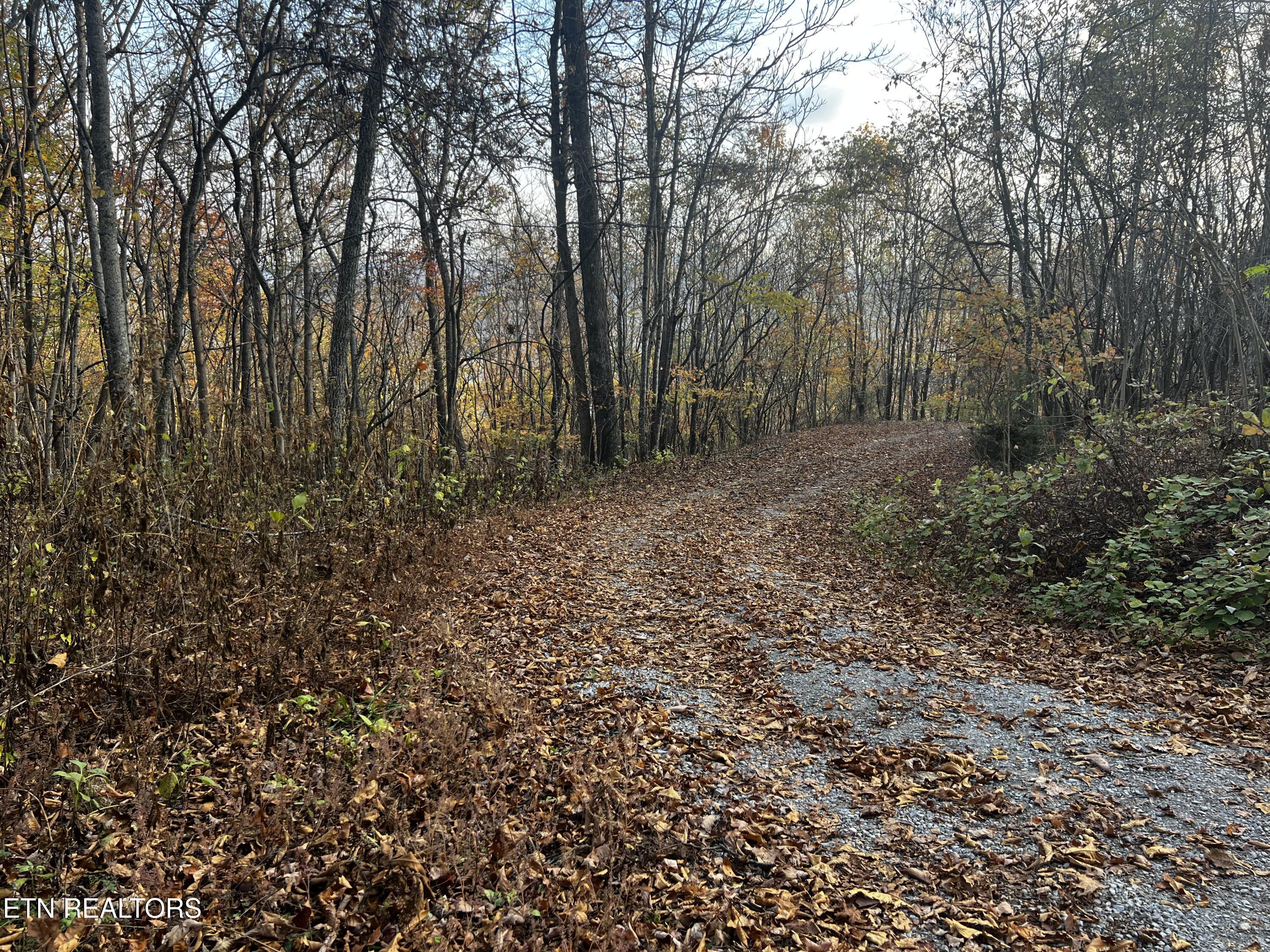 Norris Lake Real Estate - Image# 28