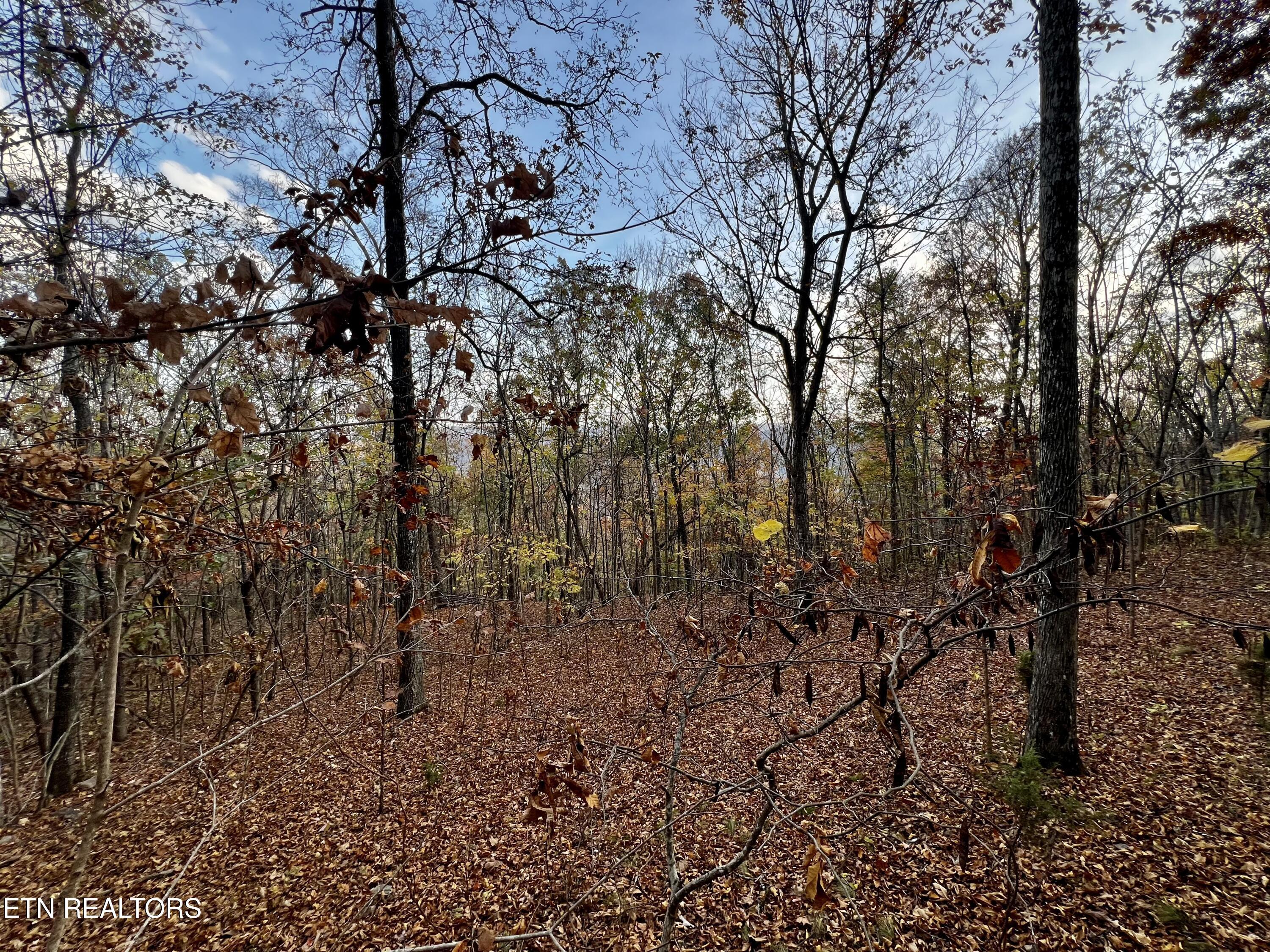Lot 675 Chimney Rock Road, New Tazewell, TN
