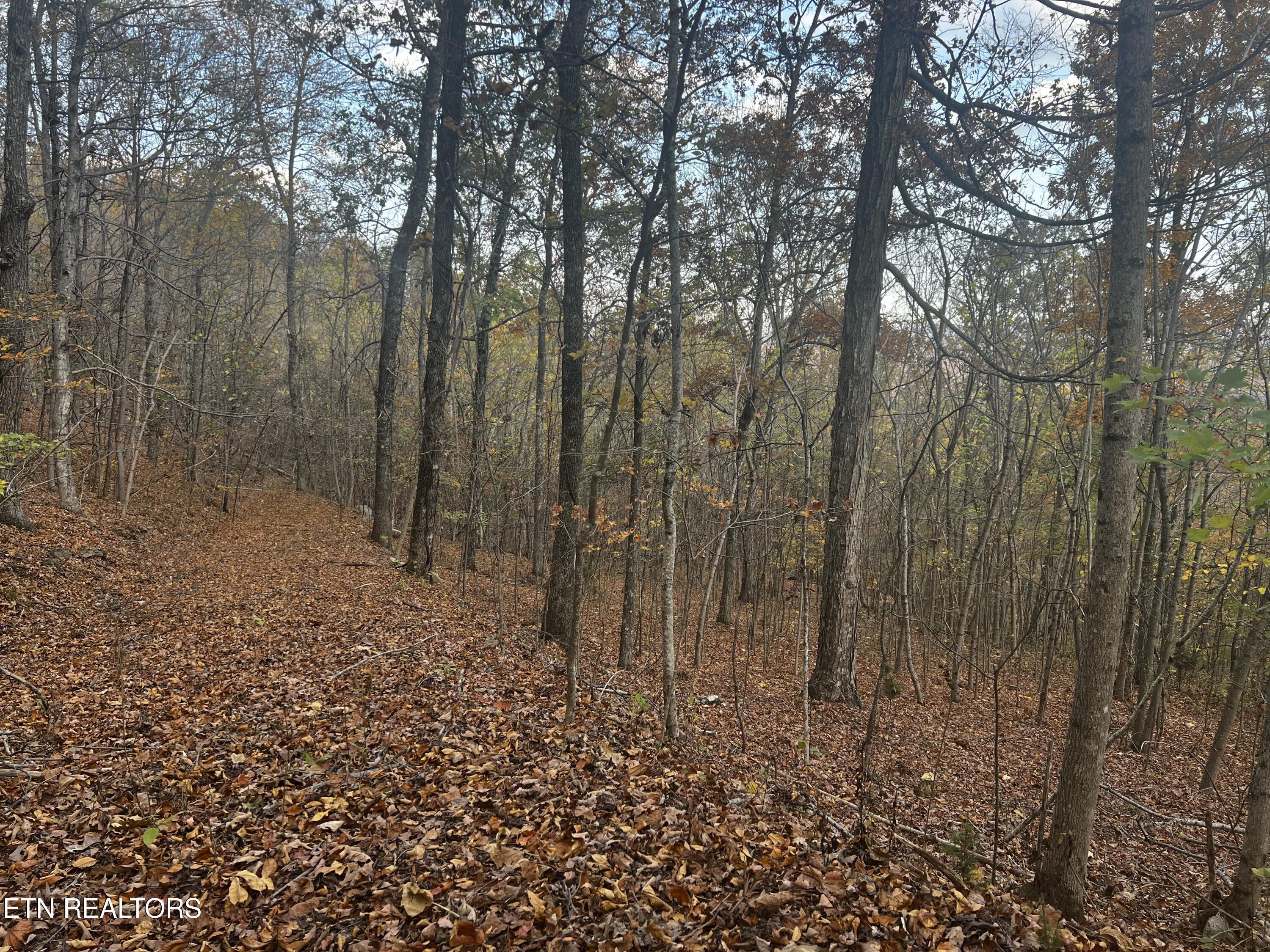 Norris Lake Real Estate - Image# 32