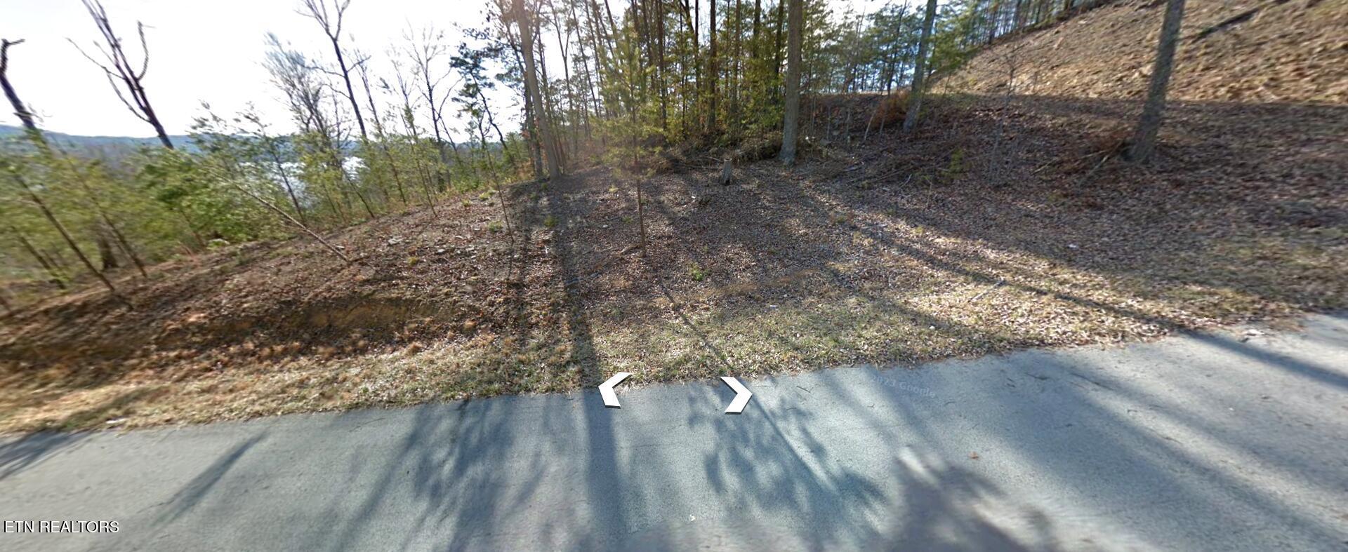 Norris Lake Real Estate - Image# 27
