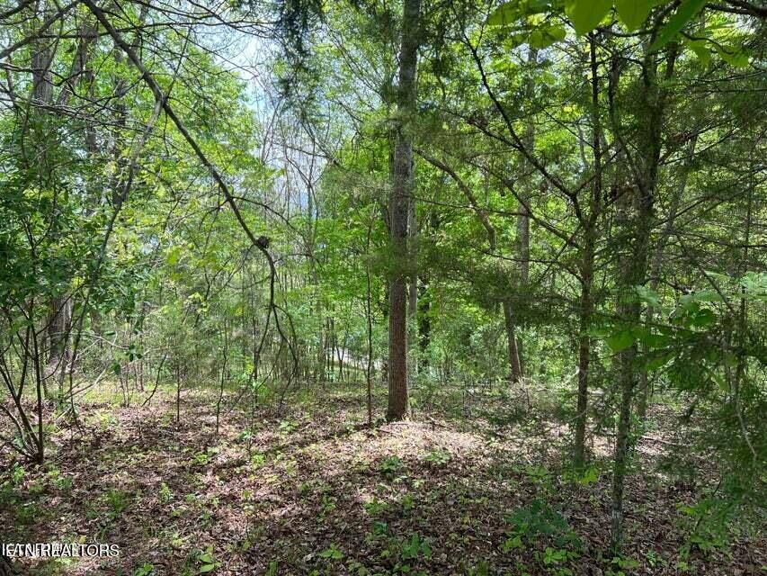 lot 12 Norris View Drive, Lafollette, TN