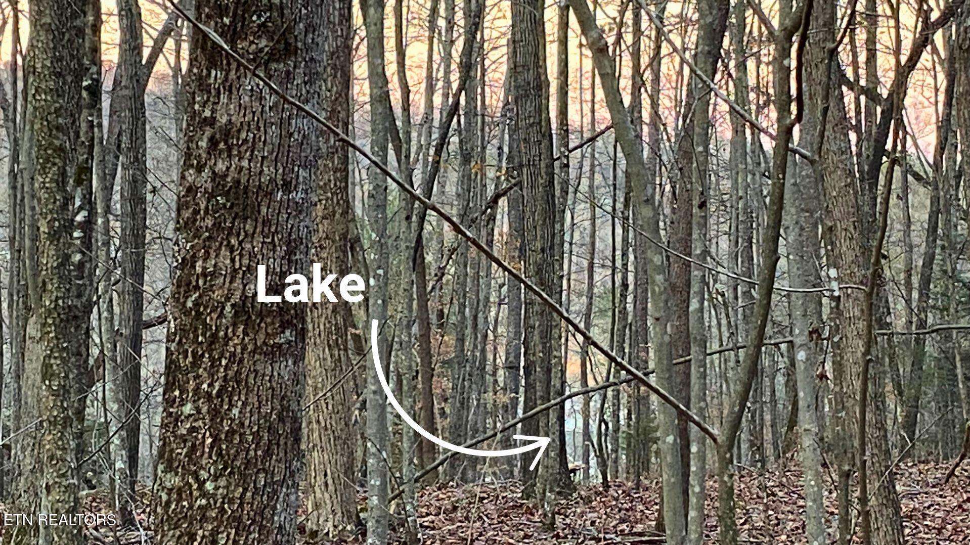 Norris Lake Real Estate - Image# 3