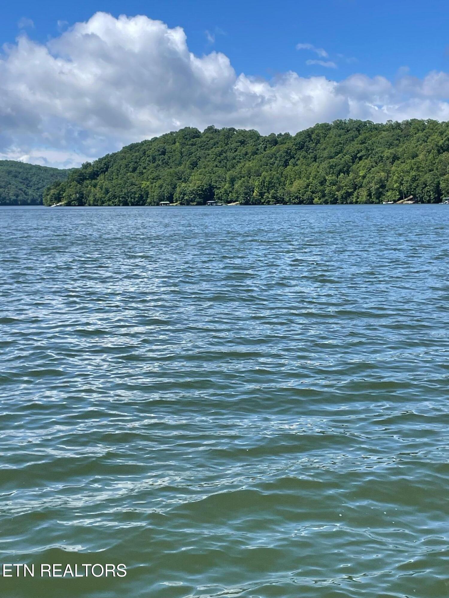 752 Tanglewood Rd, Sharps Chapel, TN - Norris Lake Real Estate - Image# 3