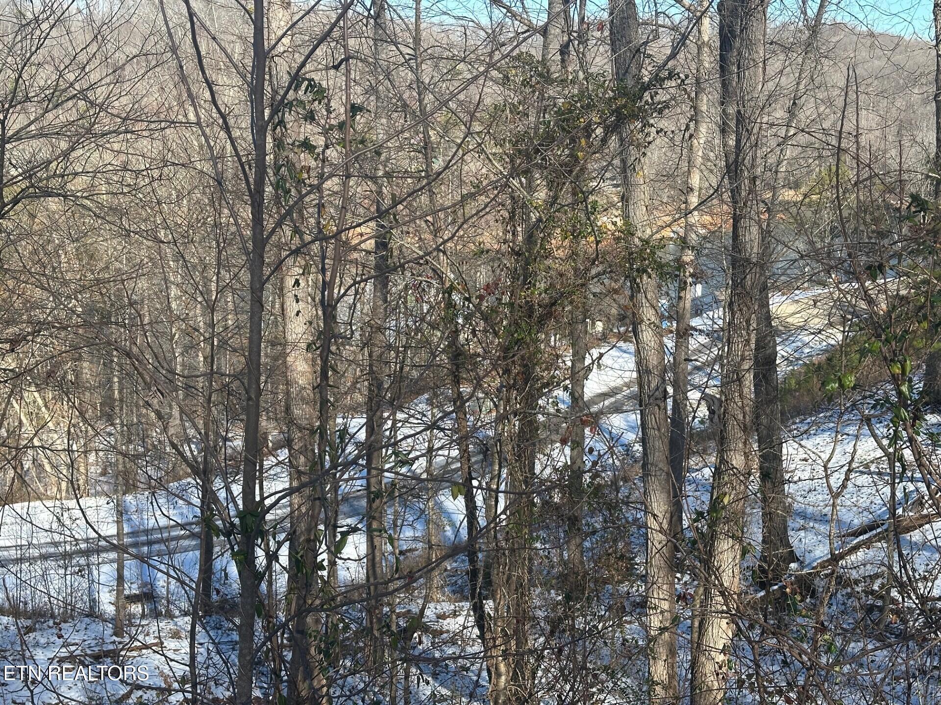 Norris Lake Real Estate - Image# 4