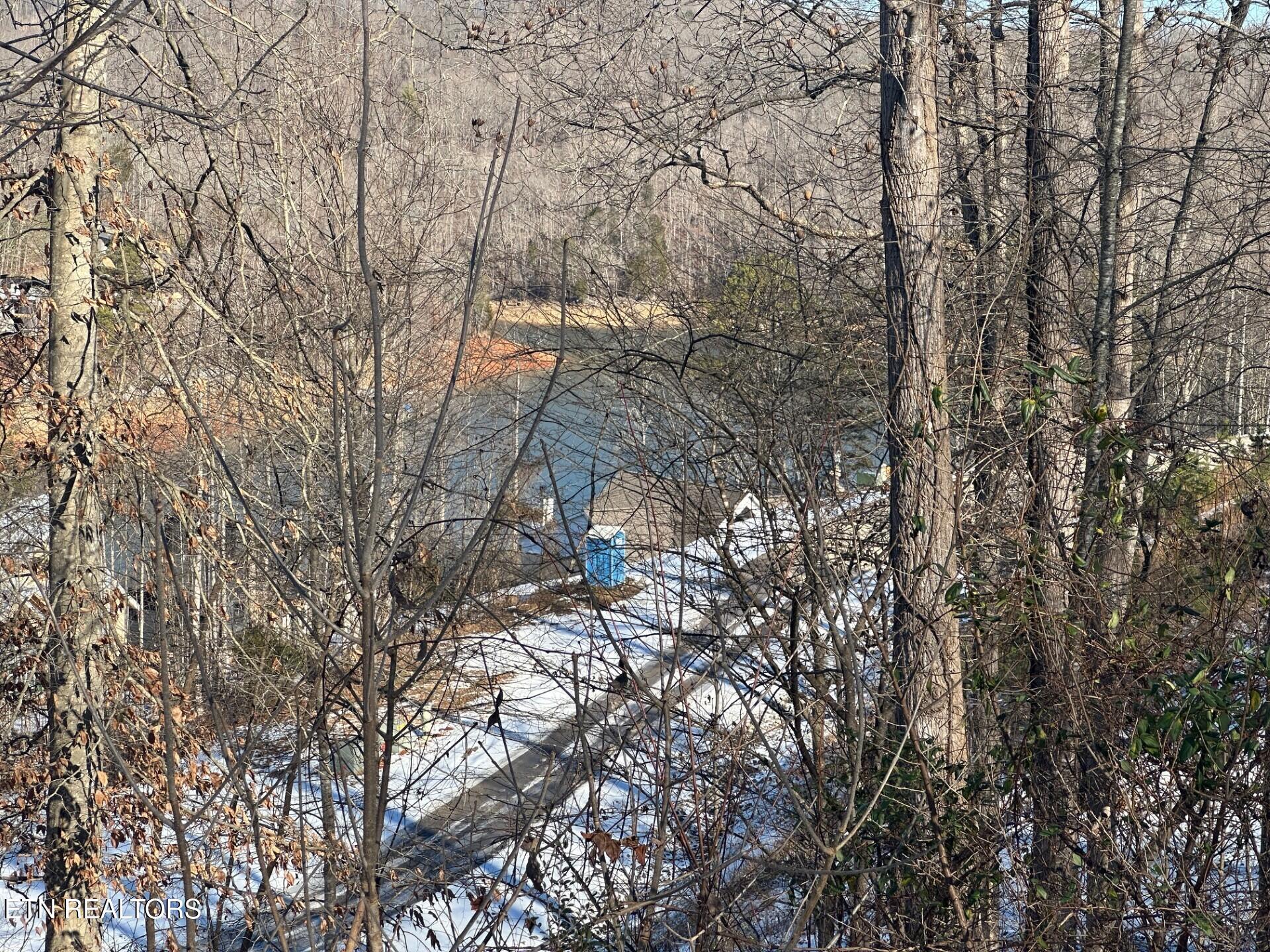 Norris Lake Real Estate - Image# 2