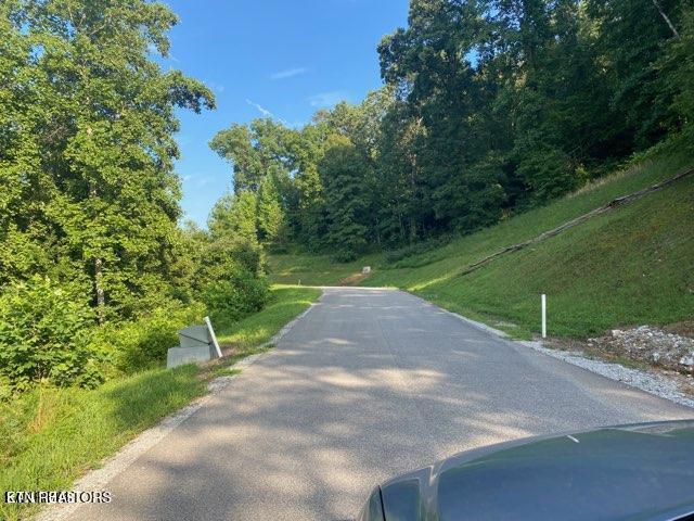 Norris Lake Real Estate - Image# 3