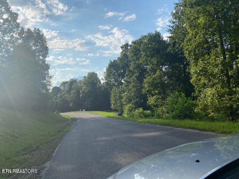 Norris Lake Real Estate - Image# 6