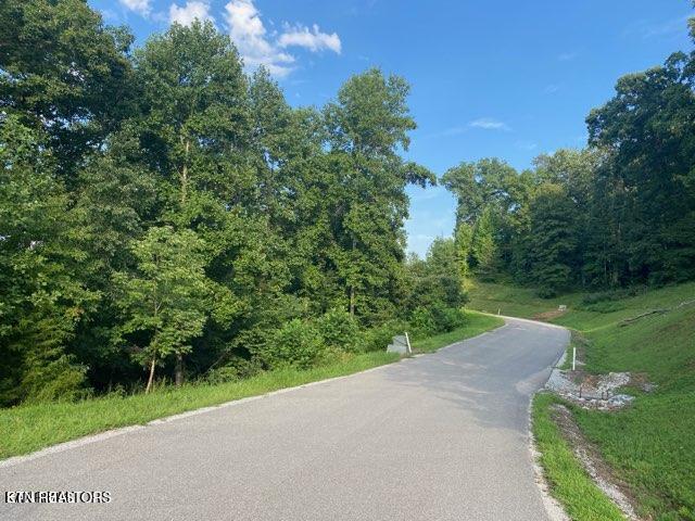 Norris Lake Real Estate - Image# 5
