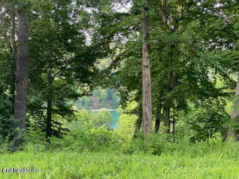 220 - 221 Suncrest Cove, Lafollette, TN