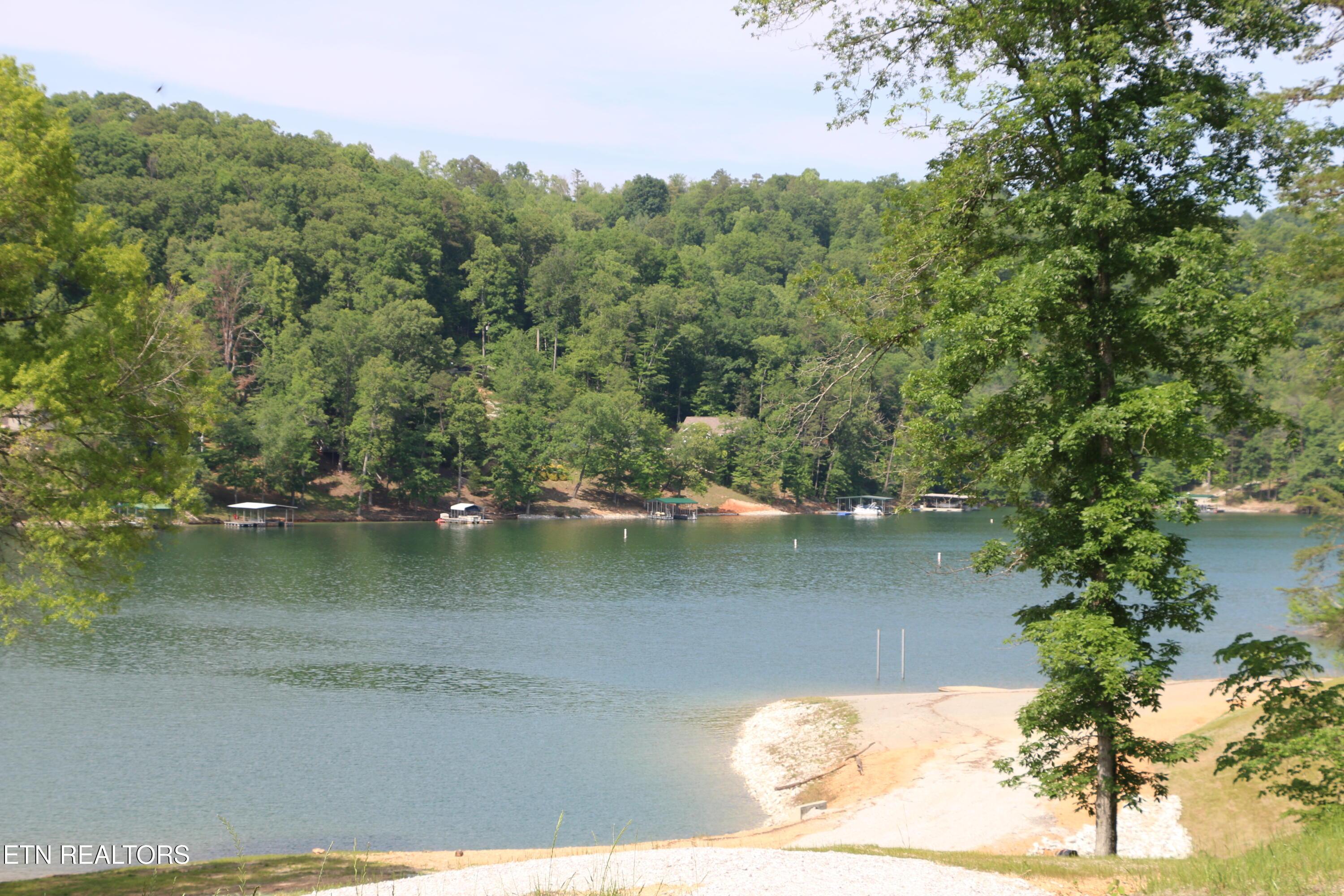 Norris Lake Real Estate - Image# 26